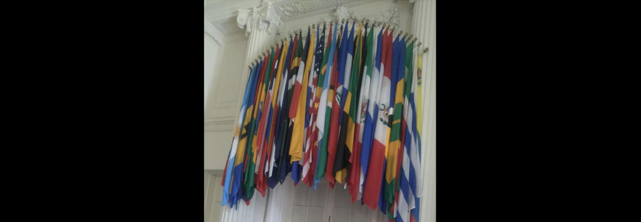 OAS.jpg OAS.jpg